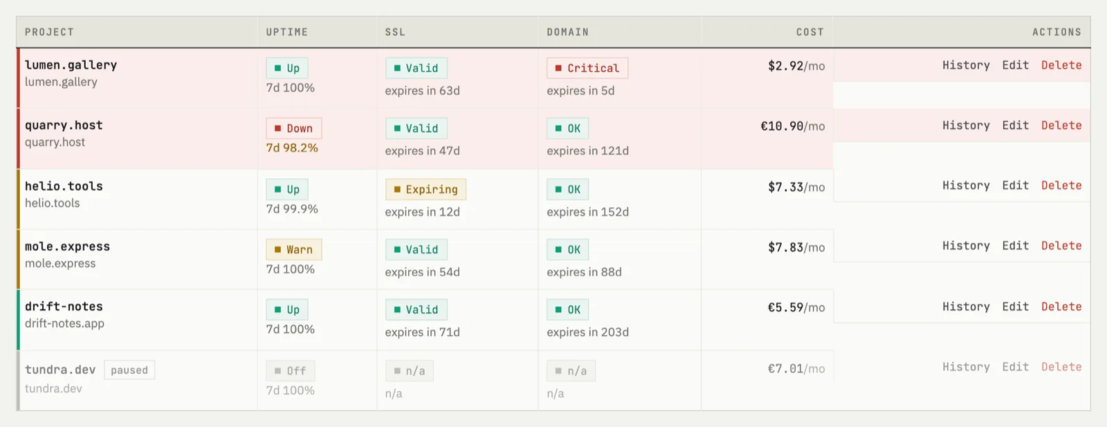 Project table showing uptime, SSL days left and domain days left